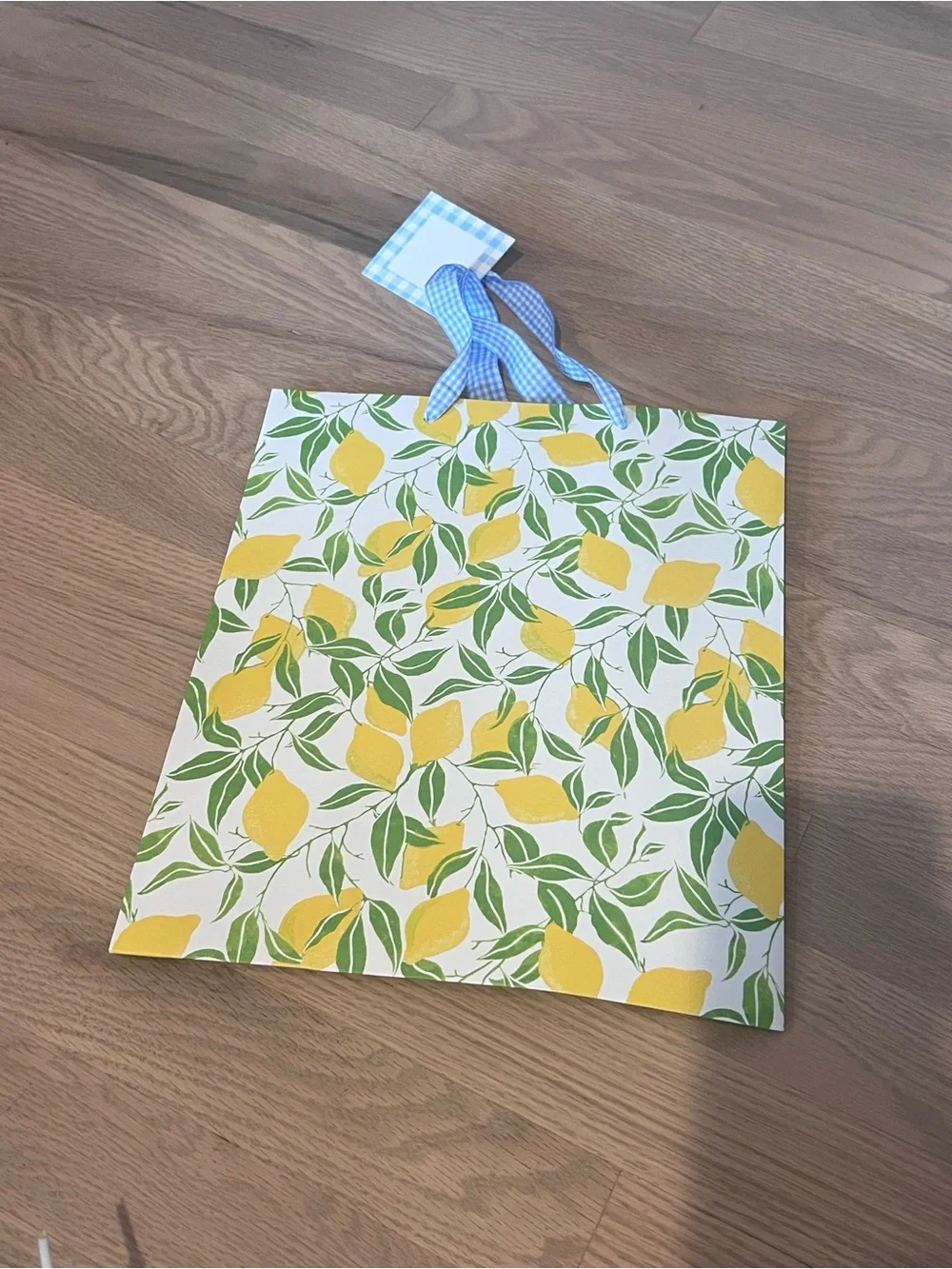 58 Assorted Multicolor Gift Bags